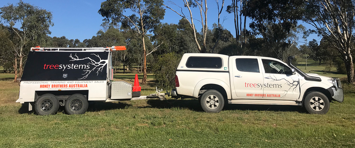 Gain your Certificate II Arboriculture with Treesystems