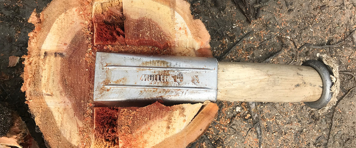 Get your AHC30816 qualification with Treesystems