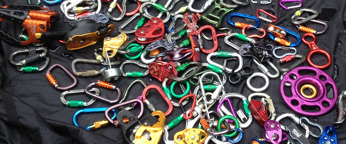 Get trained in work ready arboriculture practices